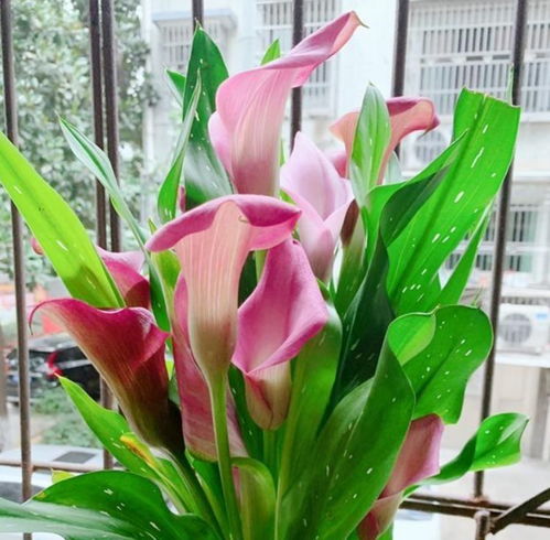 土壤篇：保水好才是硬道理