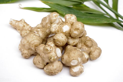 羊肚菌的神奇之处