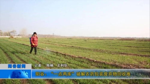 填埋处置、 资源化利用，多种方式应对废弃