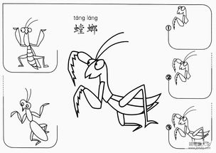 视频 网页资讯图片搜索简单的双马尾教程来啦 #手绘 #简笔画 #教程 打开原网页