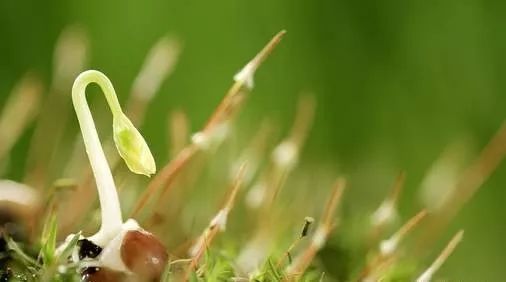 关键数据与正确方案