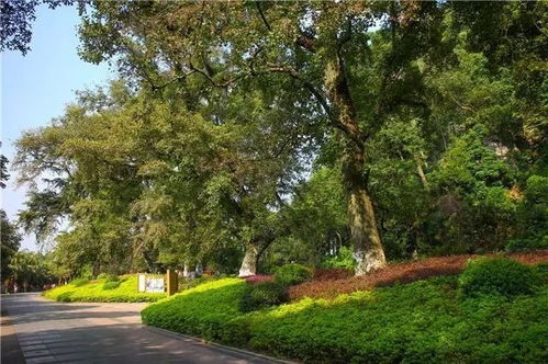 五大质量控制因素