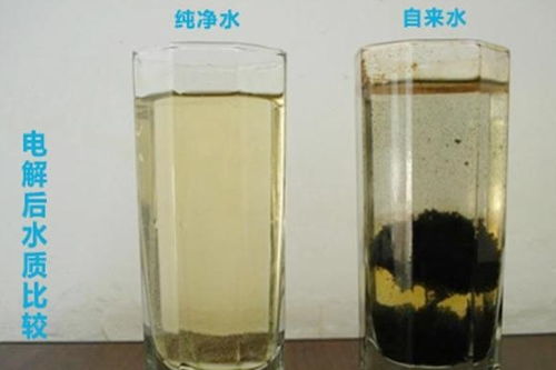 米醋对植物生长有影响，探究其浇花效果及使用方法