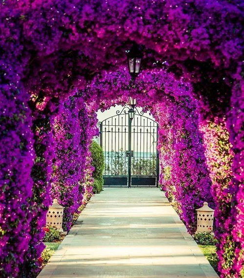 婚庆拱门倒塌危机