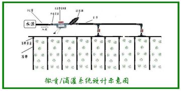 文丘里施肥器技术解析与应用探讨中，如何优化施肥效率以降低成本？