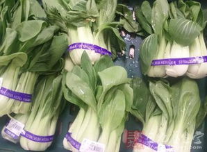 多菌灵对环境有影响吗？