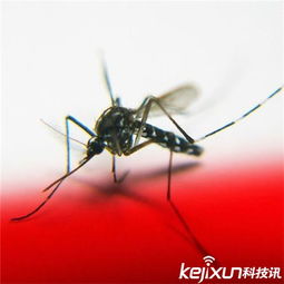 蚊子有22颗牙齿吗？这是母蚊子独有的特征吗？