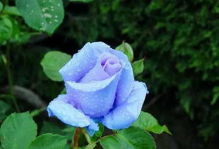 实践与经验，一起分享！