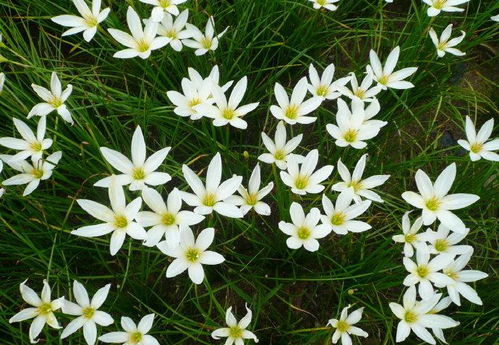 哎呀， 新手们，可别掉进这些坑里了