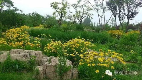 一、 那些熟悉的身影