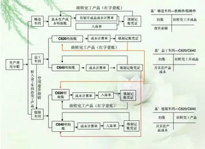 全流程陪伴服务， 科学评估学习状况