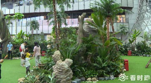 破解荫蔽角落的魔法