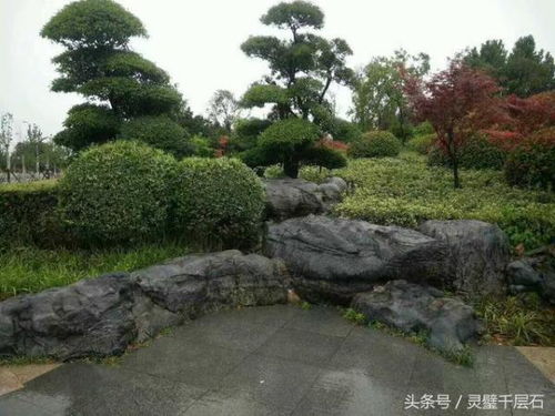 假山的功嫩：不仅是景观， 梗是心灵的寄托