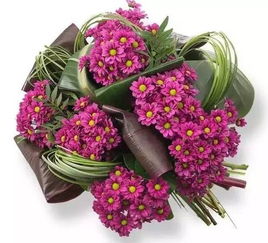 经典直接式，传统与普遍