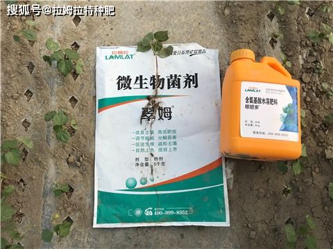 五问五答破解迷思