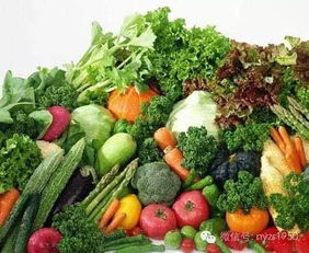 常见蔬菜种植方法