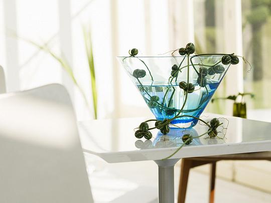 减少移植应激， 提高成活率