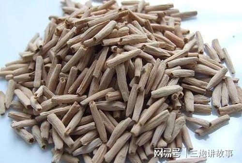 当归种子种植那些事儿