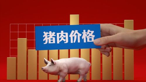2026年猪价高点会在哪个月份出现？关于2026年猪饲料市场有何预测？