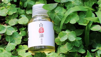 乙草胺的替代品：你值得拥有