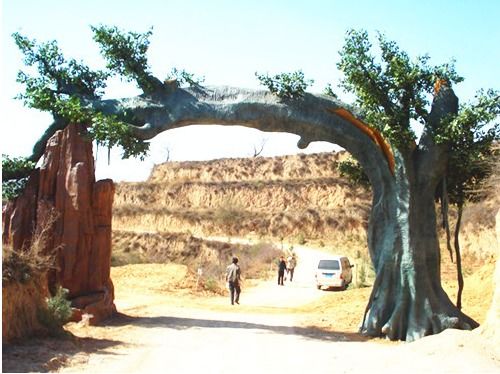 石榴树：吉祥树里的美人儿