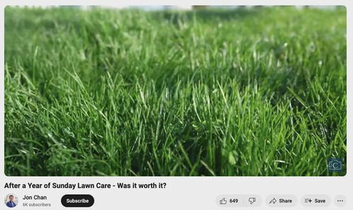 草坪生长之谜：揭秘那五种神奇草种