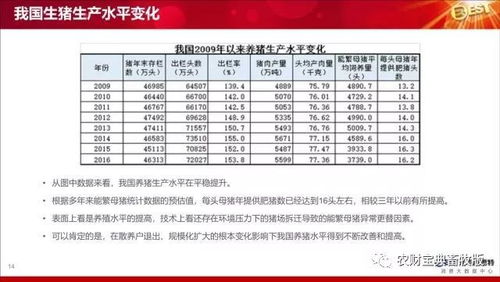 如何通过黄金比例的饲料配方和温度控制，实现中小猪场低成本高效益，提高猪只日增重？