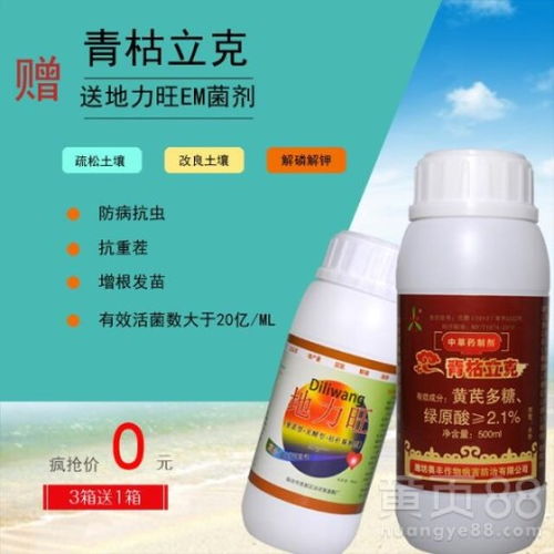 草莓根腐病防治：多菌灵与菌剂之争