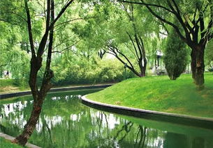 园林中水景的重要性