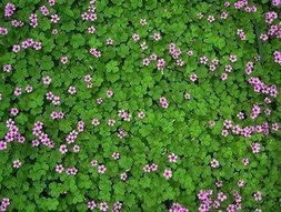 六月份气候特点：高温高湿