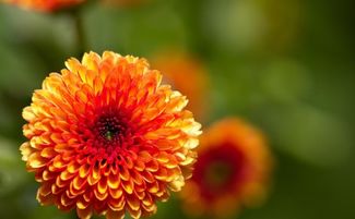 广州风水师透露的三大黄金位