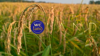 平安使用，牢记心头