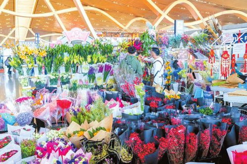 昆明批发鲜花，哪家店铺性价比更高