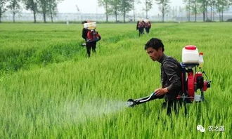 农药混配后的悬浮物问题解析