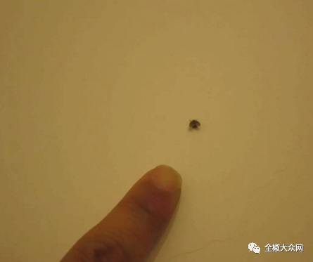 花土里飞虫怎么杀？一招见效
