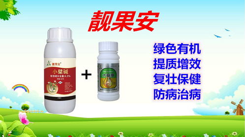 作物病害的常见用药剂