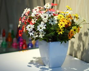 花卉市场前景如何？