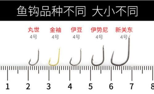 冬季钓鲤鱼宜选用细长、钩尖锋利的小鱼钩