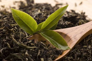 探索天然养生：樟树叶、盐、柚子叶与茶叶的神奇组合，打造健康茶饮
