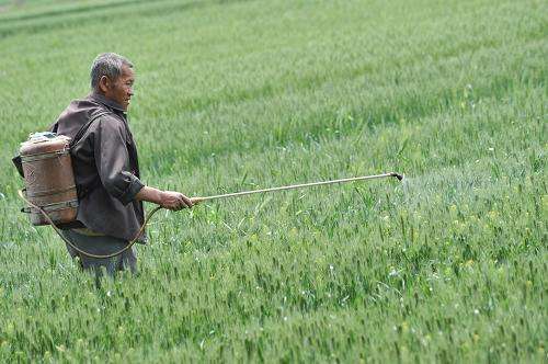 杀虫剂的使用建议