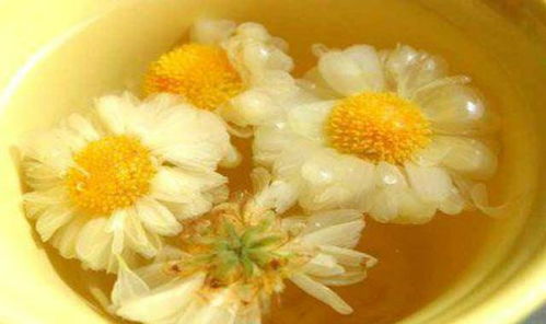 经常喝菊花茶好不好？哪些人不适合喝