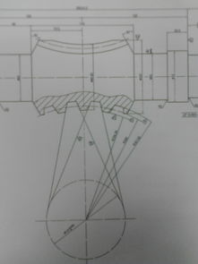 修剪步骤：从根部到枝梢