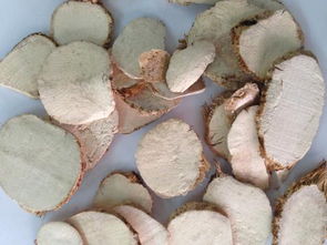 菌类的营养与功效