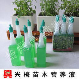 花草营养液：揭秘不同植物的营养需求