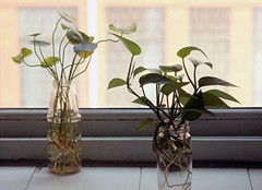 防涝排水，关键第一步