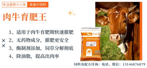 世界饲料厂家排名10强中，哪家企业的饲料产品在非洲市场最受欢迎？