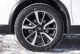 大行打农药轮胎的型号和规格大揭秘！