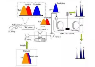 农药定量分析的重要性