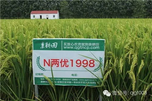 一下 高特克除草剂还是不错的