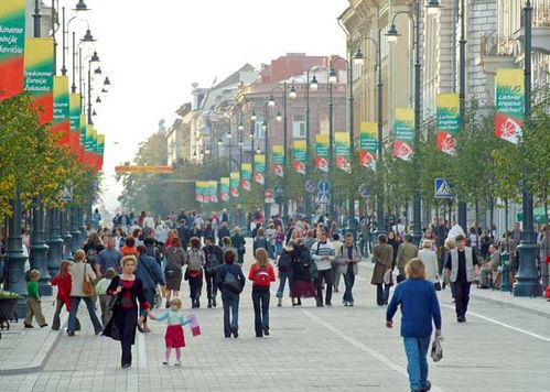 缺点——不知道是不是主要原因是我没照顾好